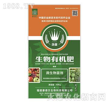 ΢�������-�ž������ЙC�ʣ��ۄ���-����ؐ