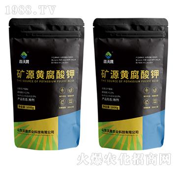 �VԴ�S�����-������