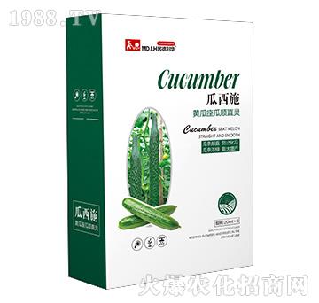 �S�������ֱ�`-����ʩ-������A