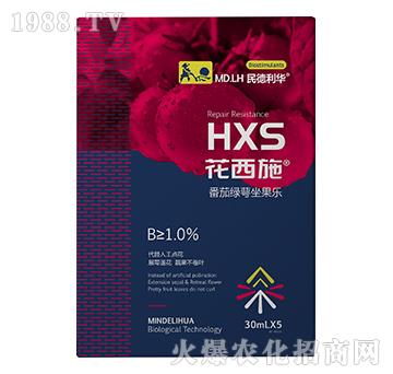 ���ѾG��������(l��)-����ʩ-������A