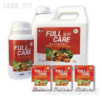 ����ޏ�(f��)��-���_-��ʢ����