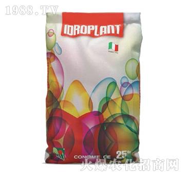 �����m-��ʢ����