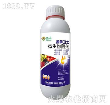 ΢�������-���S�l(w��i)ʿ-��ֲ