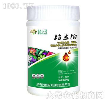 ������-��(r��n)ֲ