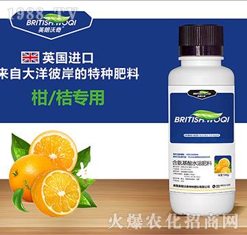 �̽ی��ú�������ˮ�ܷ���-Ӣ������