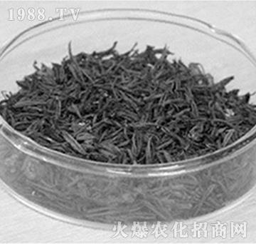 ����̿-��(r��n)�f���r(n��ng)�I(y��)