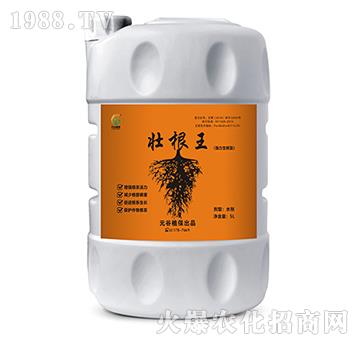 �Ѹ�������(qi��ng)�������ͣ�-Ԫ��ֲ��