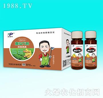 ������(y��u)�x-ϲ�R�f(w��n)��-������