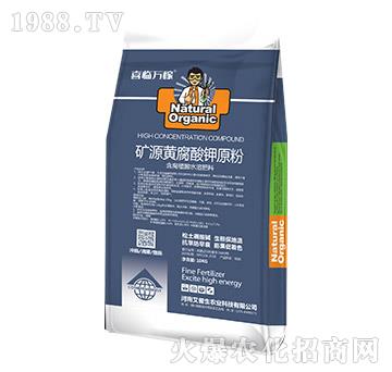 �VԴ�S�����ԭ��-������