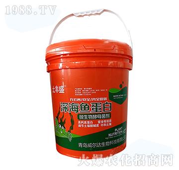 ��~����-���Sʢ-�����_(d��)