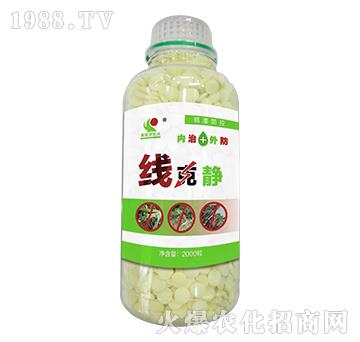 ΢�������-�����o-����