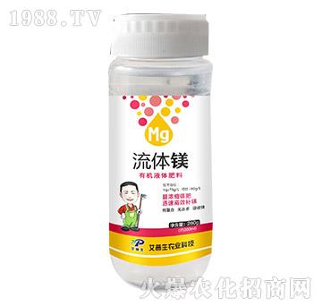 260g���w�V-������