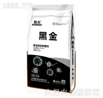 �ͺ�΢�������-�ڽ�-�Ν��ʘI(y��)