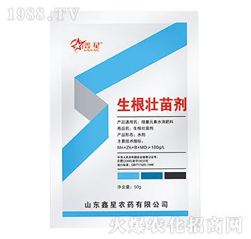 �������焩-����