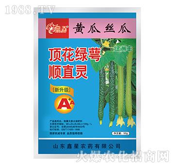 �S�Ͻz��픻��G���ֱ�`-�G���S-����