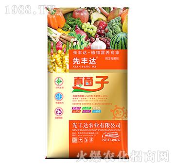 ֲ��I�B(y��ng)����-�����-���S�_(d��)