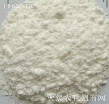 �����������-����