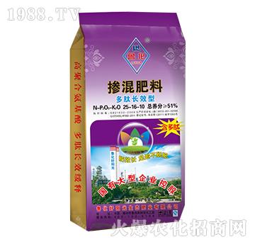 �����LЧ�͓������25-16-10-����