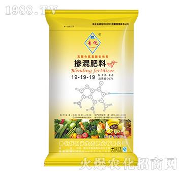 �������19-19-19-����