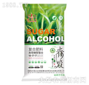 �����Ǵ����Ϗ�(f��)�Ϸ���18-17-17-���Pɽ-����