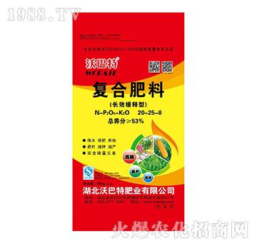 �LЧ����͏�(f��)�Ϸ���20-25-8-�ְ���