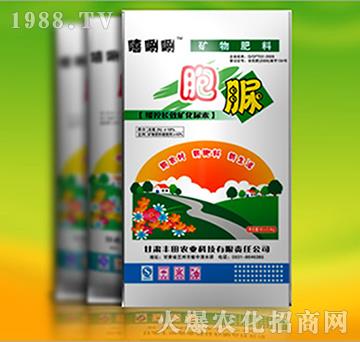 �pø����-�S���r(n��ng)�I(y��)