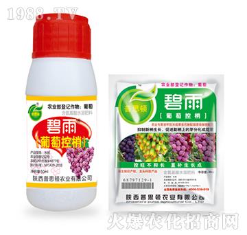 ���ѿ���-����-��˼�D�r�I(y��)