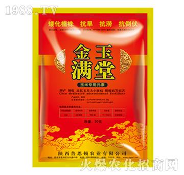 ���׌���Ԫ��-����M��