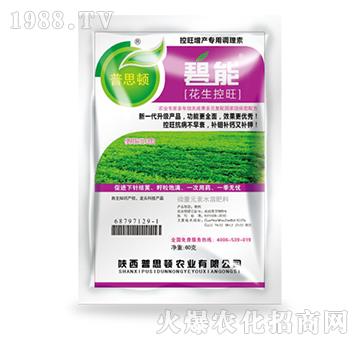 ����������-����-��˼�D�r(n��ng)�I(y��)