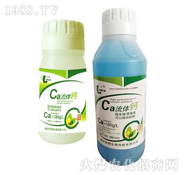 ���w�}-��������