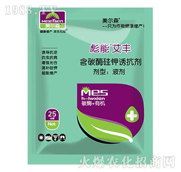 ��̼ø����T����-����