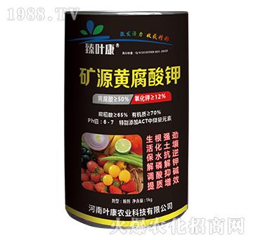 �VԴ�S�����-���~��-�~���r(n��ng)�I(y��)