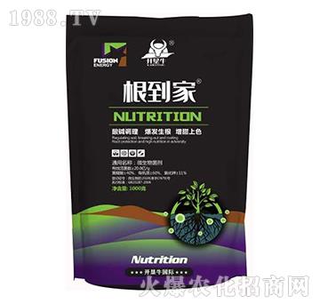 ������-�_��ţ