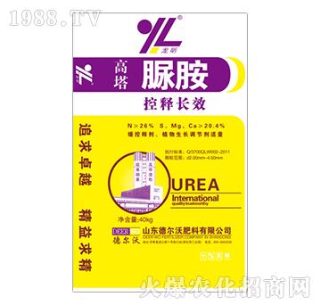 ������ȩ-���-� ���