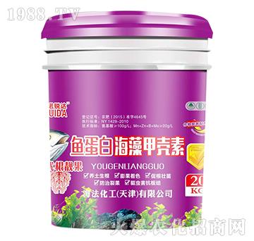 �~(y��)���׺���ך���-�Z�J�_(d��)-��������