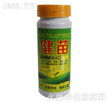 ����-�h˼����