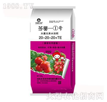 ����Ԫ��ˮ�ܷ�20-20-20+TE-���u(y��)1̖(h��o)-�����������u(y��)-������