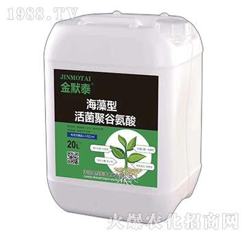 �������۹Ȱ���-��Ĭ