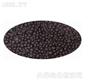 �ЙC�o�C�ͻ���w��-����ʘI(y��)