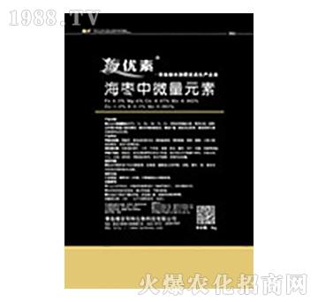 ������΢��Ԫ��-�S����