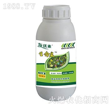 ���~����Ȫ-�S������