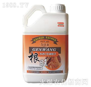 ����-�S������