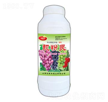 �n���`��ƿ��-�ּ��S�ʘI(y��)