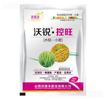 ���J����(ˮ����С��)-�ּ��S�ʘI(y��)