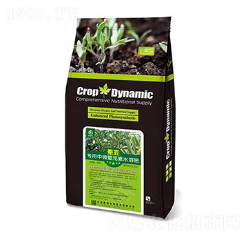 ������΢��Ԫ��ˮ�ܷ�-�Q��-�W�G����