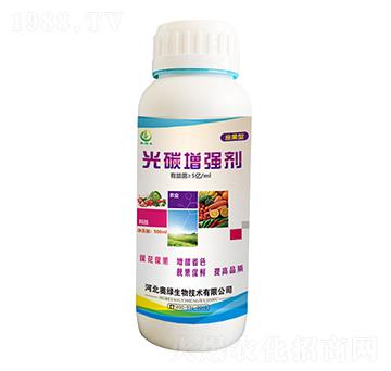 �����͹�̼������-�W�G����