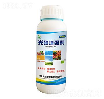 �V�V�͹�̼������-�W�G����