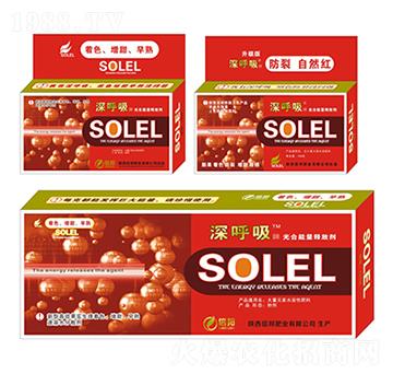 �������ጷń�-�����-�Ű�ʘI(y��)