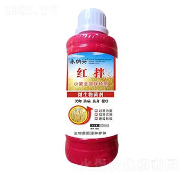 С����N��-�t��-���{�d