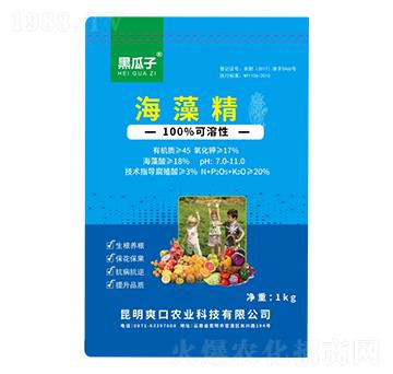 ���徫-�ڹ���-�µ����